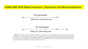 SAMe and neurotransmitters