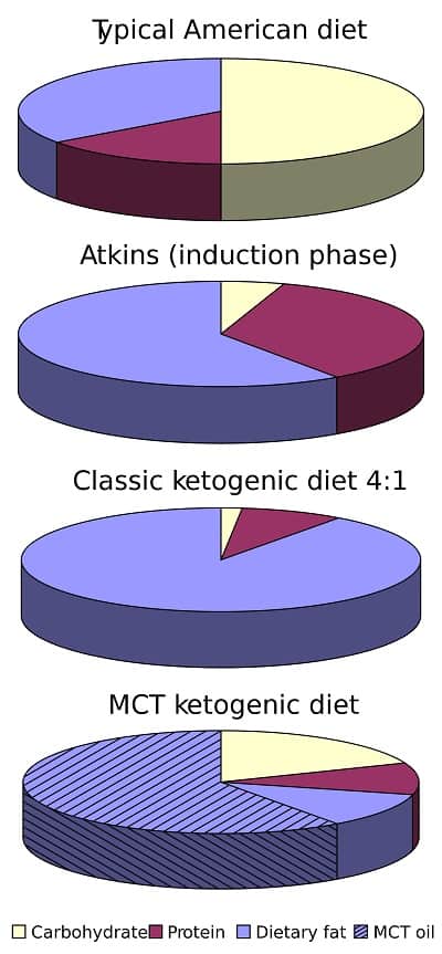 ketogenic diet chart